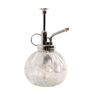 EsssCert Design Pflanze Spray Clear Glass