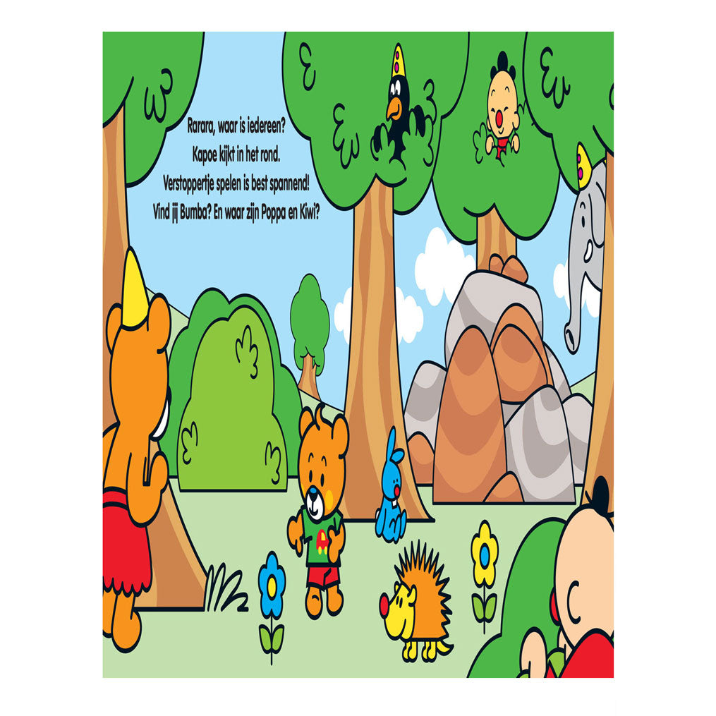 Bumba Kartonboek - The pacifier