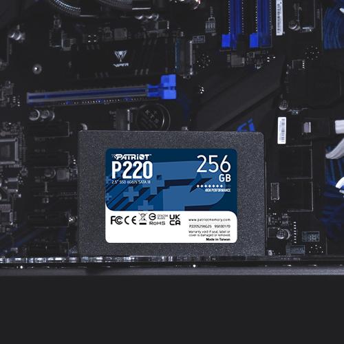Patriot P220 256 Go