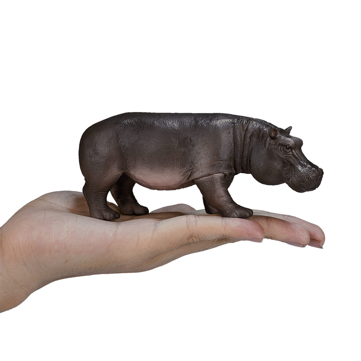Mojo Wildlife Nilo Horse Woman 387104