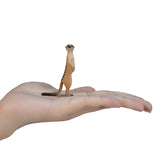 Mojo Wildlife Stock Tail 387125