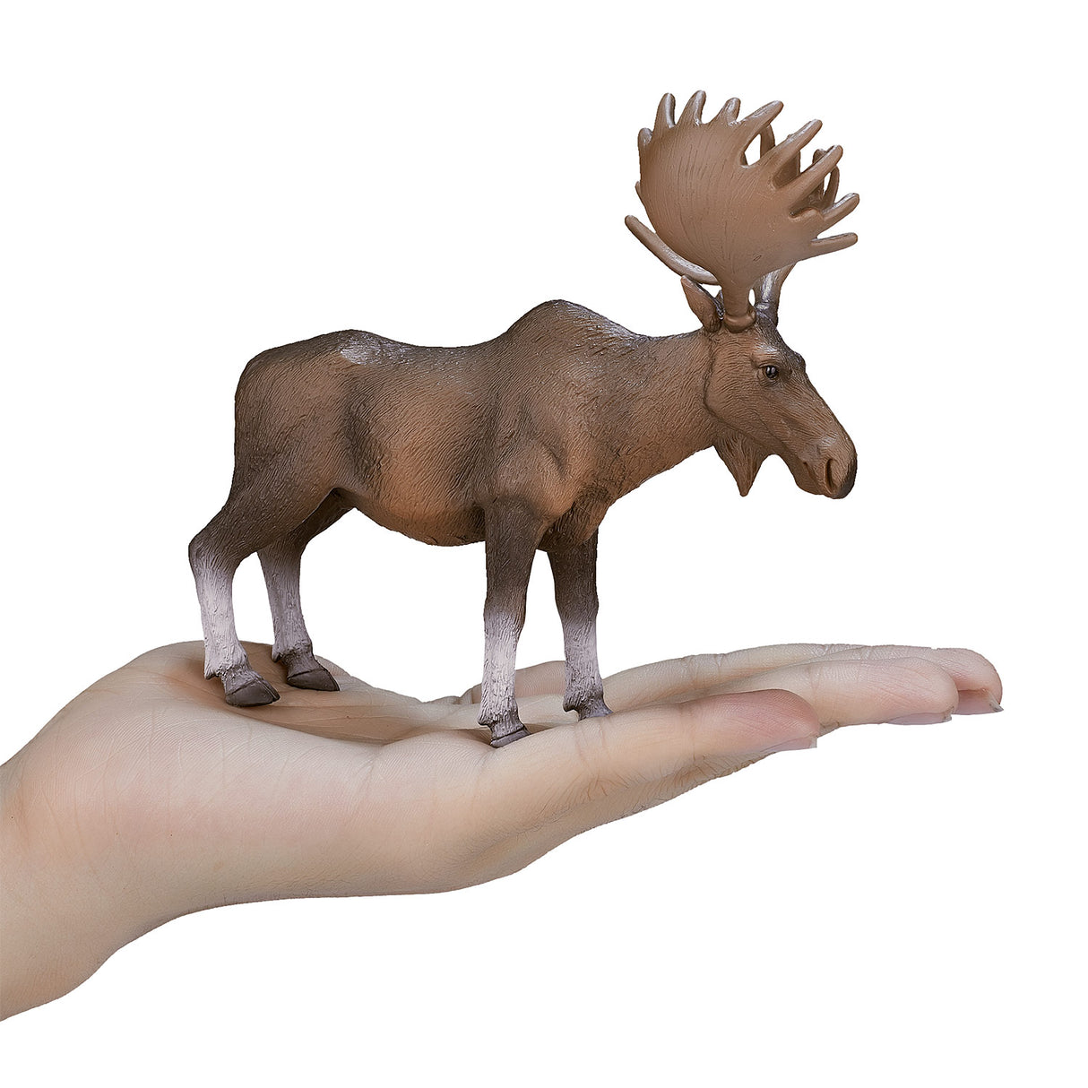 Mojo Wildlife European Moose 387023