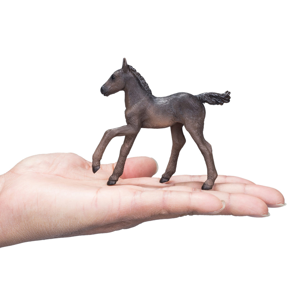 Mojo Horse World Arabo Fole Black 381015