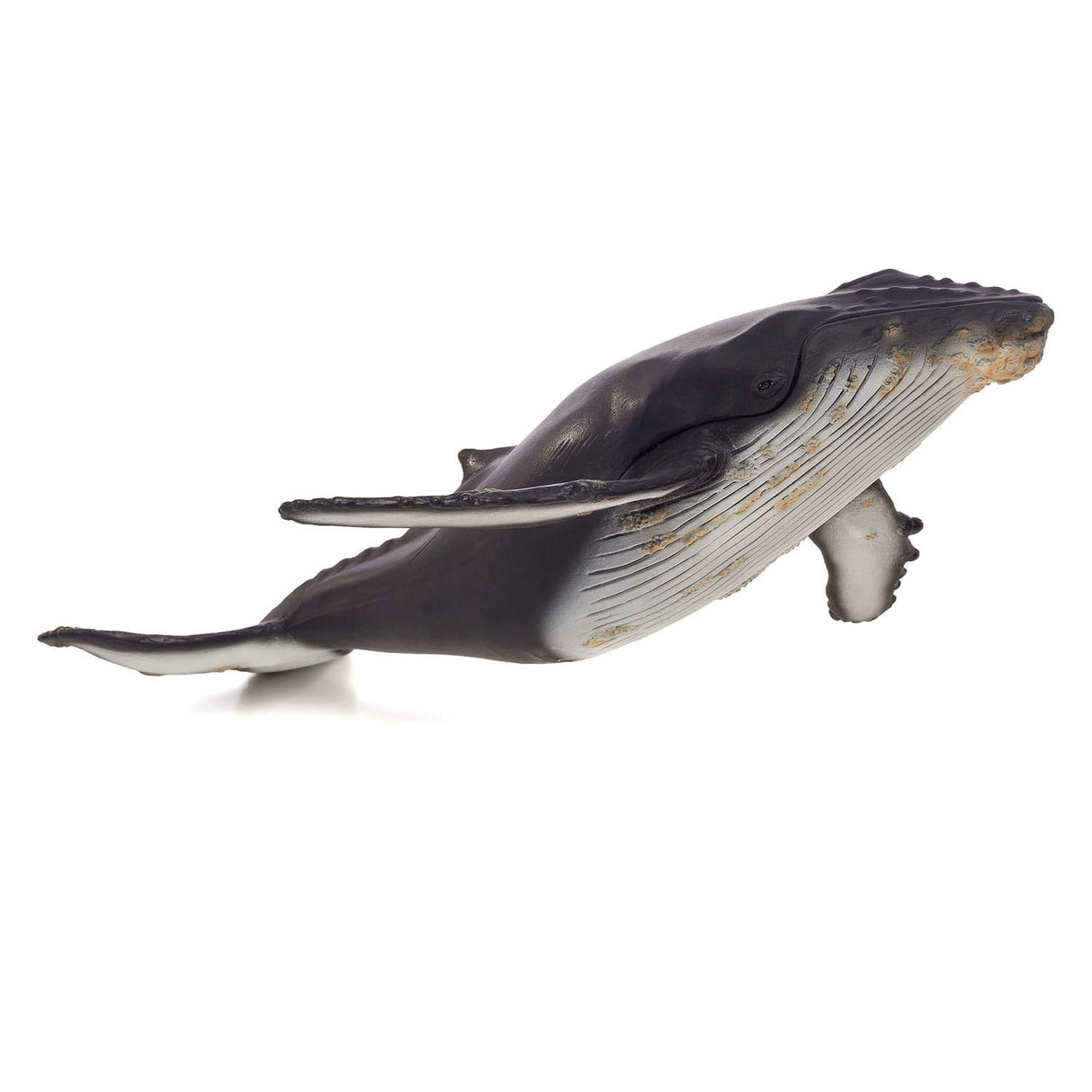 Mojo Sealife Bultrugwalvis large 387277