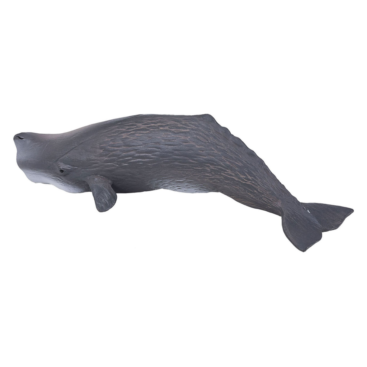 Mojo Sealufe Potfish 387210