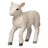 Mojo Ackerland Romney Lam Rennend 381066