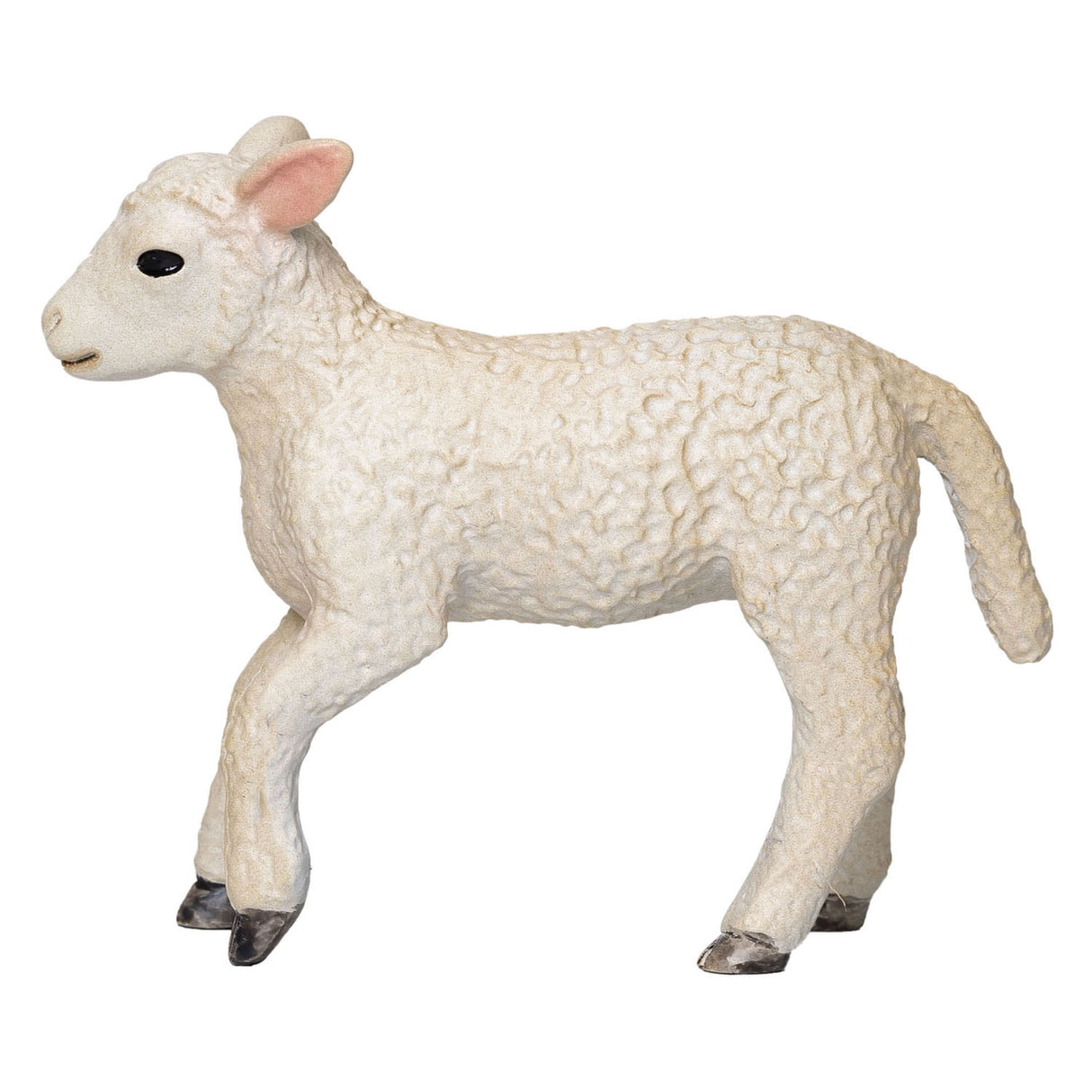 Mojo Ackerland Romney Lam Rennend 381066