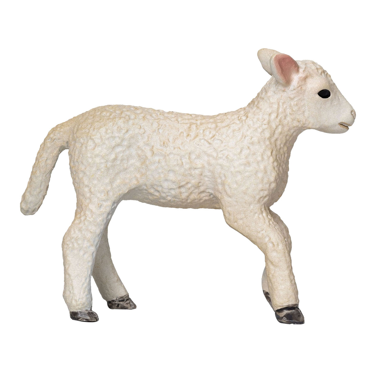 Mojo Ackerland Romney Lam Rennend 381066