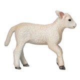 Mojo Ackerland Romney Lam Rennend 381066