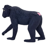 Mojo faune noire couronnée Makaak 387182