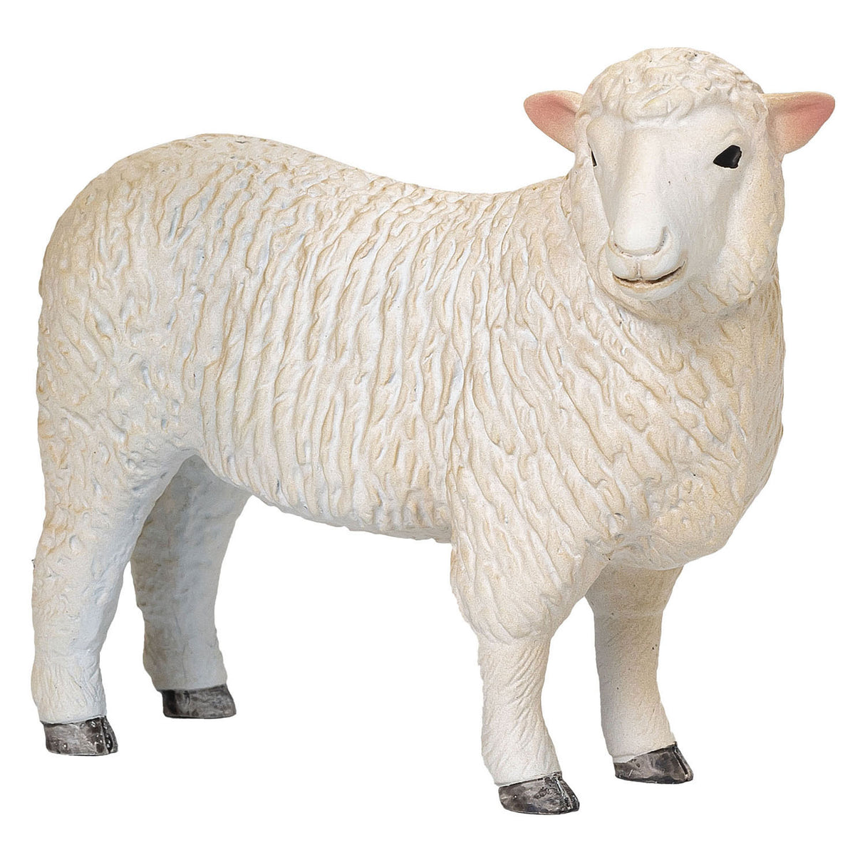 Mojo jordbruksmark Romney Schaap ooi 381064