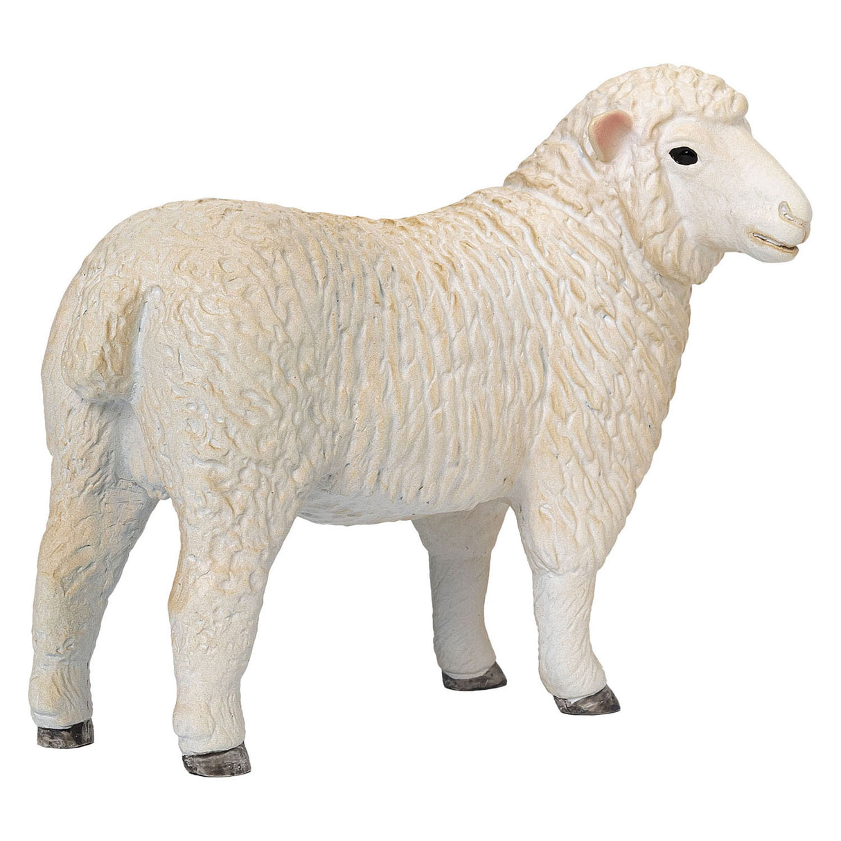 Mojo jordbruksmark Romney Schaap ooi 381064