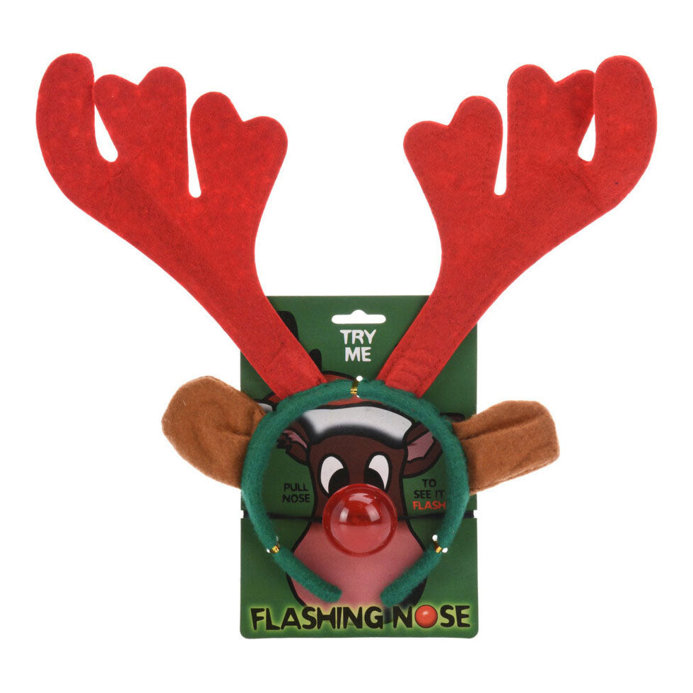 Reindeer Diadem and luminous nose