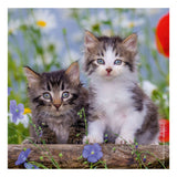 Ravensburger Puzzle Puzzle Young Kittens, 3x49st.