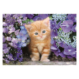 Clementoni Clemetoni jigsaw puzzle Ginger Cat, 500st.
