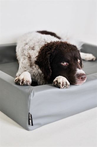 Bia Bed Hondmand Original Grey