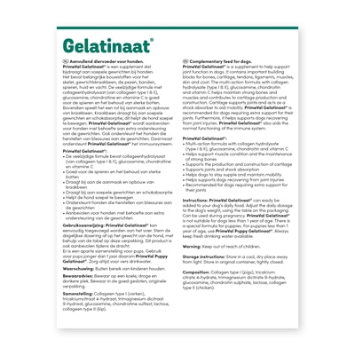 Primeval gelatinate dog