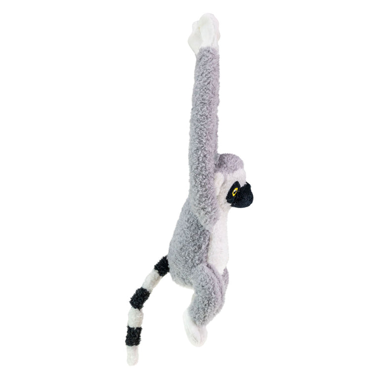 Taktik kammerater kos lemur maki grå sort