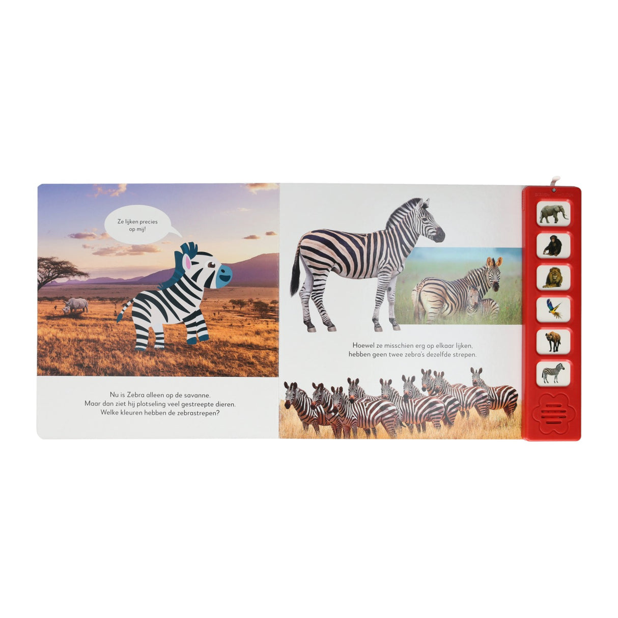 Oral cards listen to wild animals sound book