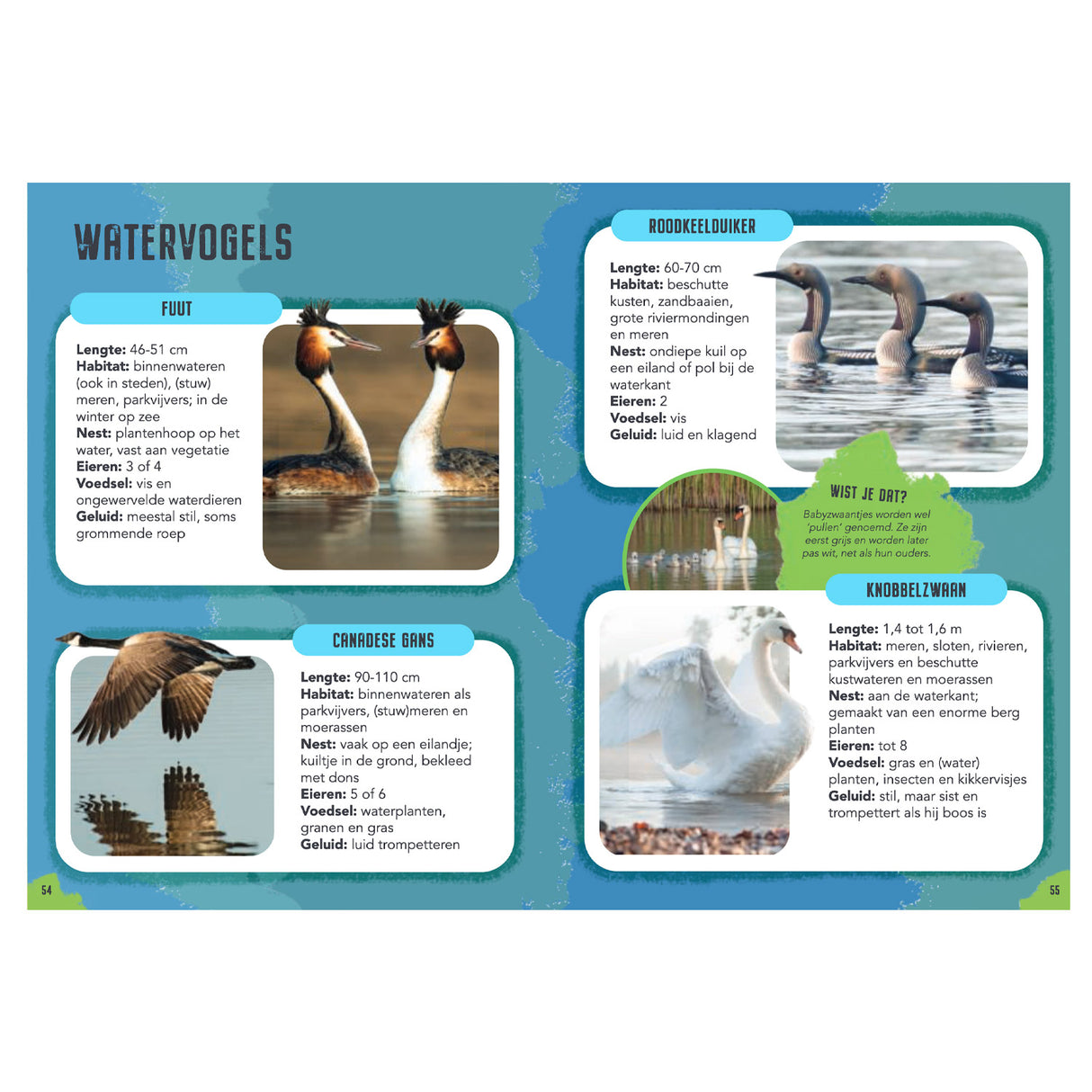 Rebo Publishers Vogels - Guide and Nature Diary for Children