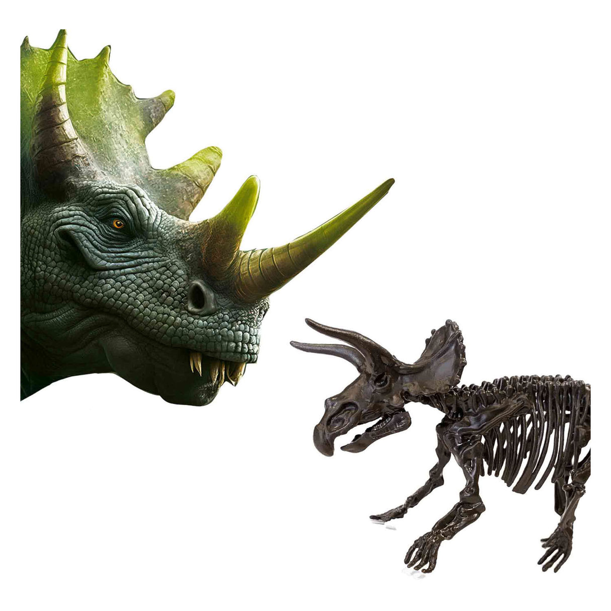 Ses entdecken Dino an Skelett auszeschalten 2in1 - Trizorops