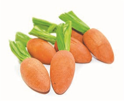 Critter's choice happy pet carrot nibblers knaaghout