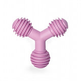 Toys de morsure de chiot en palissandre assorti