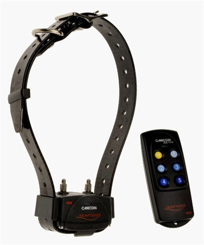 18 canicom 200 First Remote Trainer