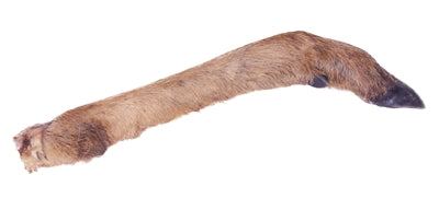 Petsnack reeen poot avec elle