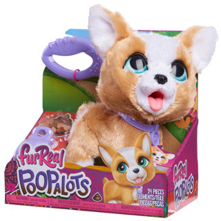 Spectron furreal poop a lots corgi