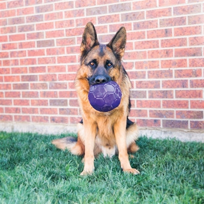 Kong flexball violet