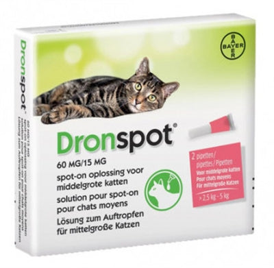 Bayer Dronpot Kat Spot on