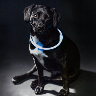 Trixie collar USB Flash Luz luminosa TPU recargable Azul
