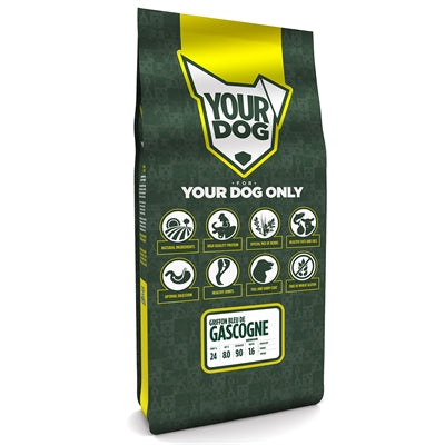 Yourdog Griffon Bleu de Gascogne Senior