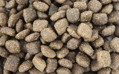 Je suis une mini truffe de boeuf