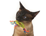 CATNIP DENTAL ZDRAVSTVEN