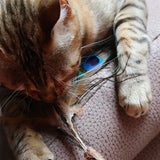 Croci Euphoria Cat Rod Matatatabi Pauwenveer