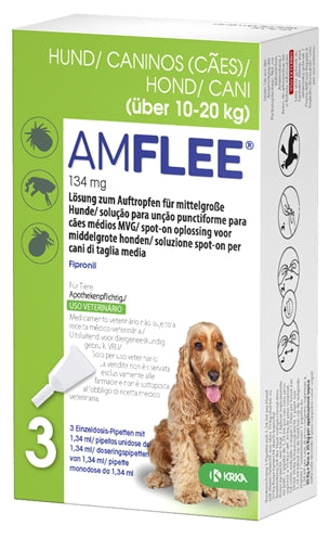 Krka amflee miejsce na Hond