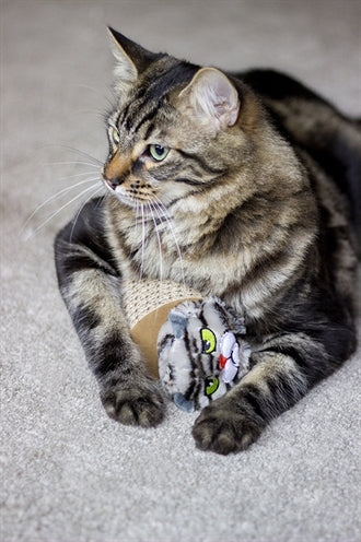 Rosewood Moody Moggy crab toys cardboard