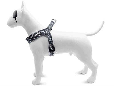 Morso Mini Hond Harder CalaECTAKT PERSONGALT MARKE FLOW BY