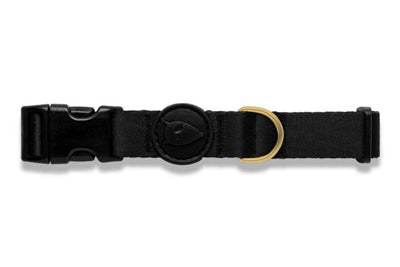 Morso Collar Dog Gold Caviar Gold