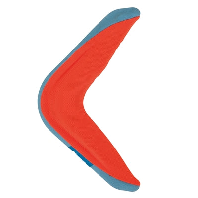 Chuckit Ambibious Boomerang Assorti