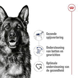 Royal Canin Canin Maxi Erwachsener