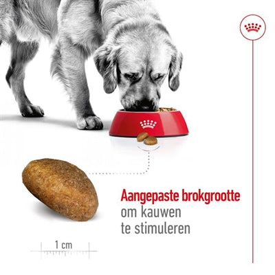 Royal Canin Canin Maxi Erwachsener