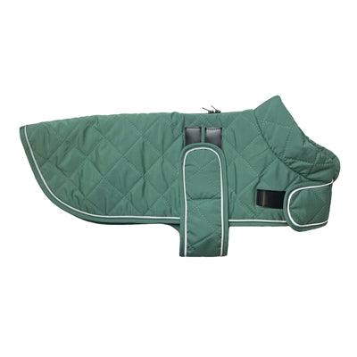 JAYUIE JEUX PET DE PATT GO WALKED GROUNES CLASSIQUE CLASSIQUE VERT