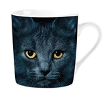 Molti regali tazza nera gatto
