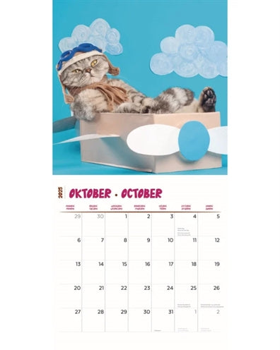 Calendrier Funnit Test Cats 2025