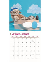 Calendrier Funnit Test Cats 2025