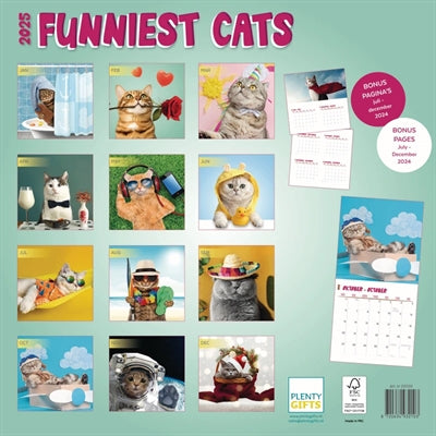 Calendrier Funnit Test Cats 2025