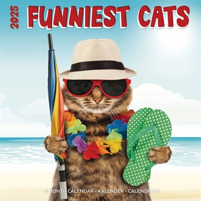 Calendrier Funnit Test Cats 2025